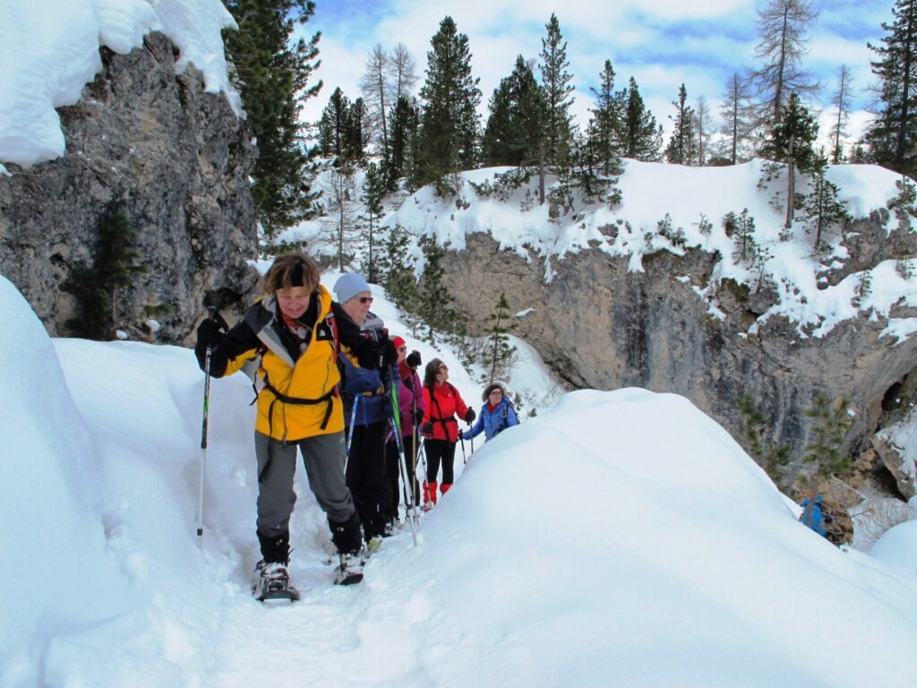 Dolomitenrotsen (2)