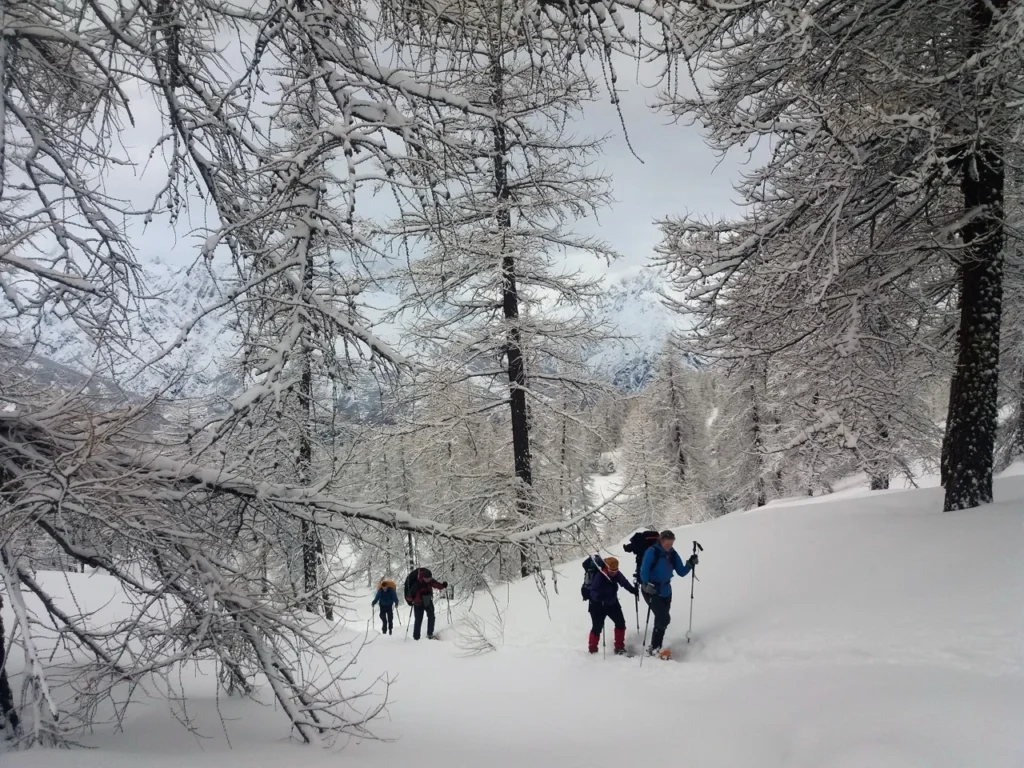Sneeuwwandelen Frankrijk
