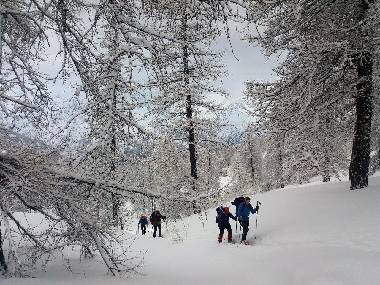 Sneeuwwandelen Frankrijk